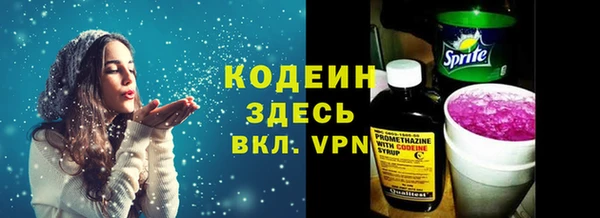 соль ск Верхний Тагил