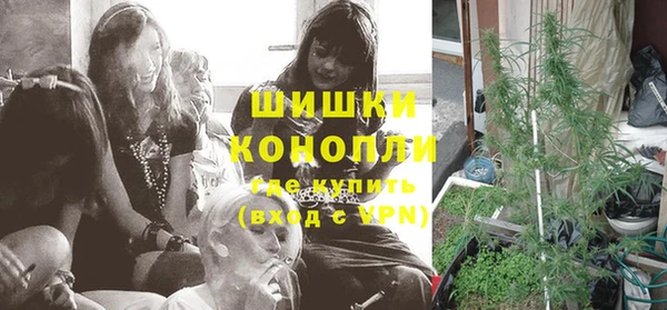 соль ск Верхний Тагил