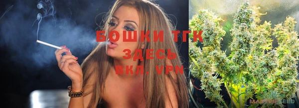 соль ск Верхний Тагил